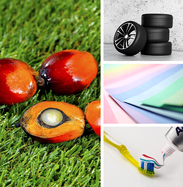 油脂化學(xué)品(pin)